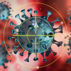 Supplements for Immune Support